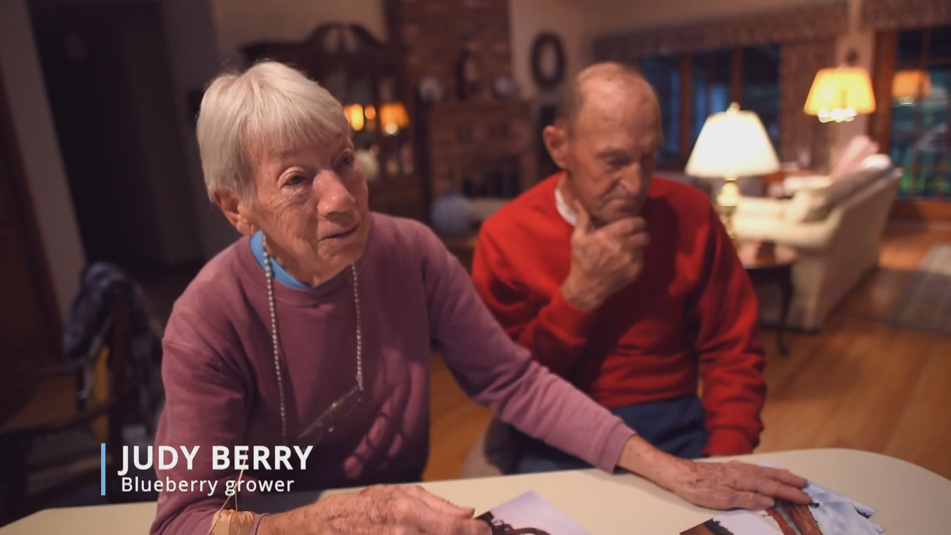 Thumbnail image for Maines Wild Blueberries